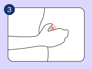 Brust abtasten: Brustkrebs Früherkennung