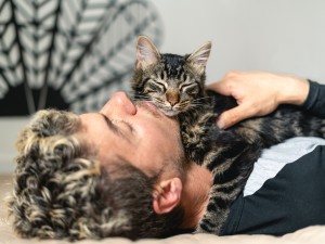 Tierhaarallergie: Mann kuschelt mit Katze auf dem Boden