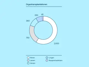 Kreisdiagramm zur Häufigkeit der Organtransplantationen in Deutschland. 