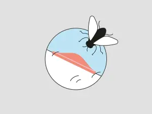 Illustration einer Bremse und deren Biss