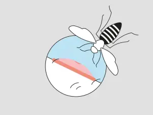 Illustration einer Hornisse und deren Stich