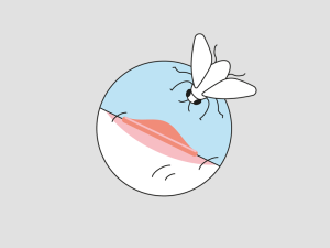 Illustration einer Kriebelmücke und deren Biss