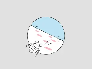 Illustration einer Bettwanze und deren Stich