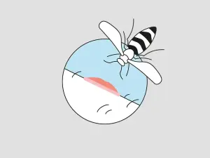 Illustration einer Wespe und deren Stich