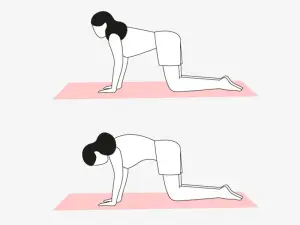 Illustration einer Frau, die die Übung Katze-Kuh macht