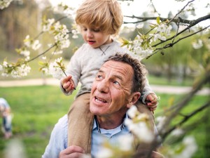 Großvater mit Enkel auf den Schultern unterm einem blühenden Baum