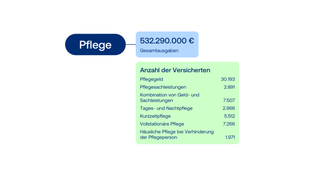 Pflege Grafik